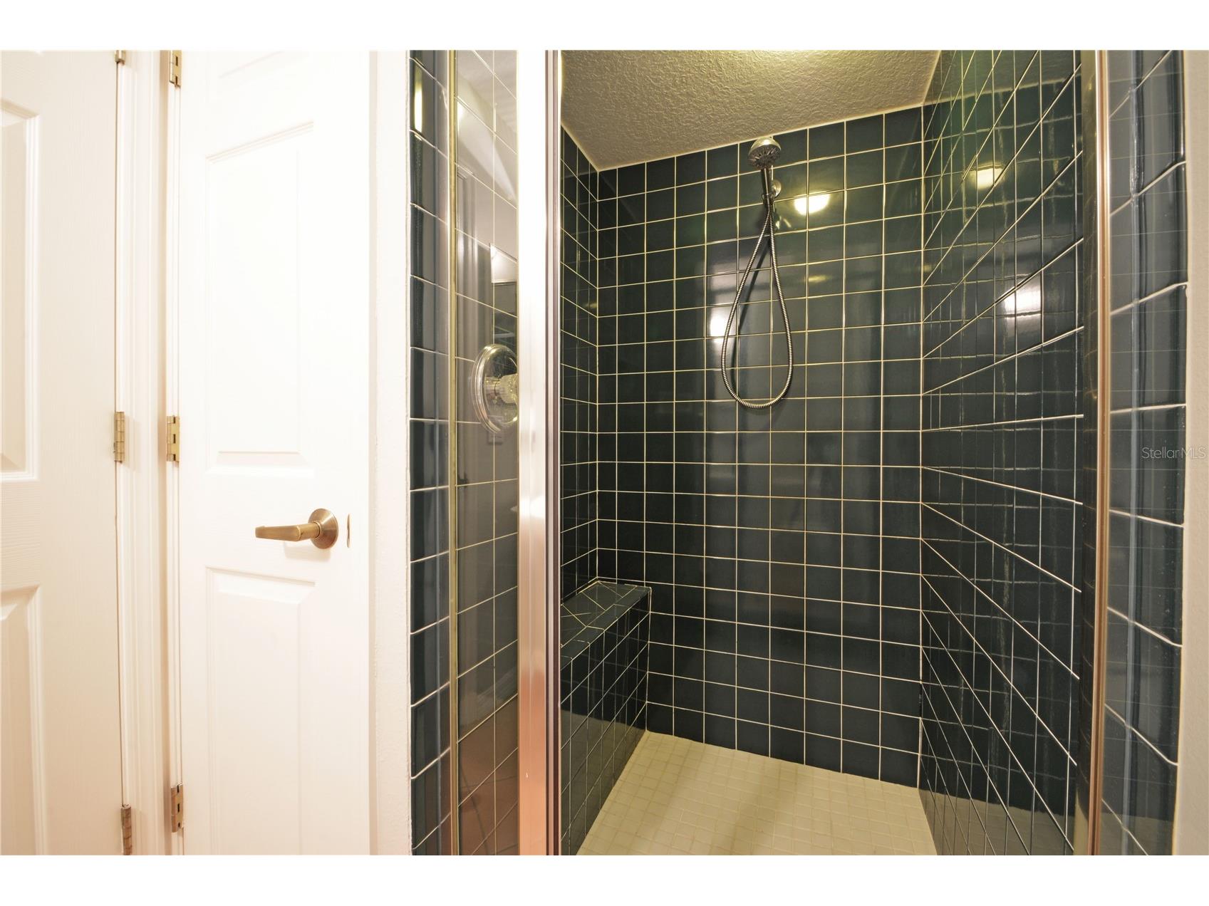 3293 Mallard Drive Safety Harbor FL 34695 TB8509938 image36