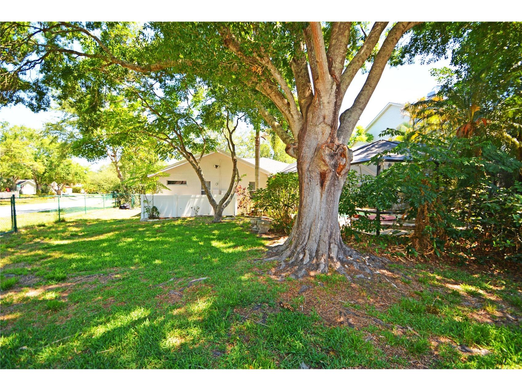 3293 Mallard Drive Safety Harbor FL 34695 TB8509938 image53