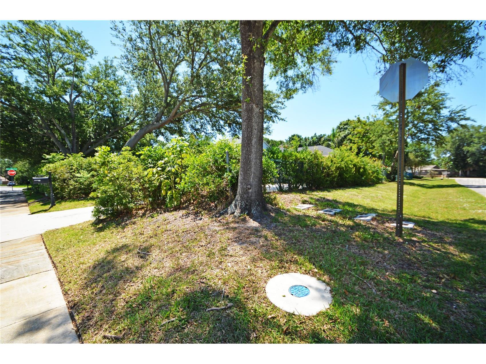 3293 Mallard Drive Safety Harbor FL 34695 TB8509938 image55