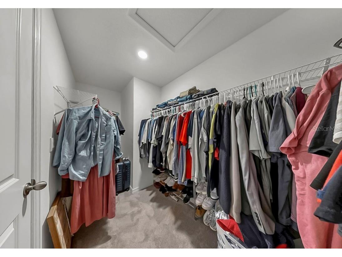 3293 Silver Date Drive Wimauma FL 33598 L4956234 image23