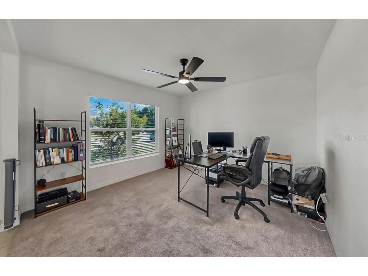 3293 Silver Date Drive Wimauma FL 33598 L4956234 image29