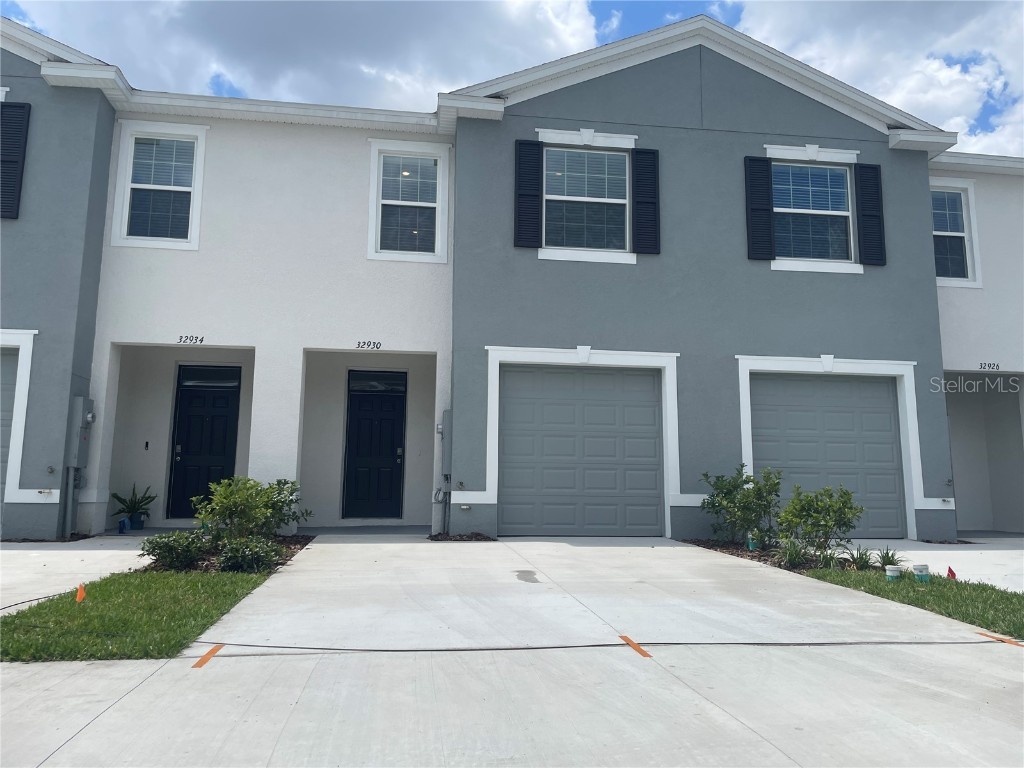 32930 Regent Canal Street Wesley Chapel FL 33545 T3531219 image1