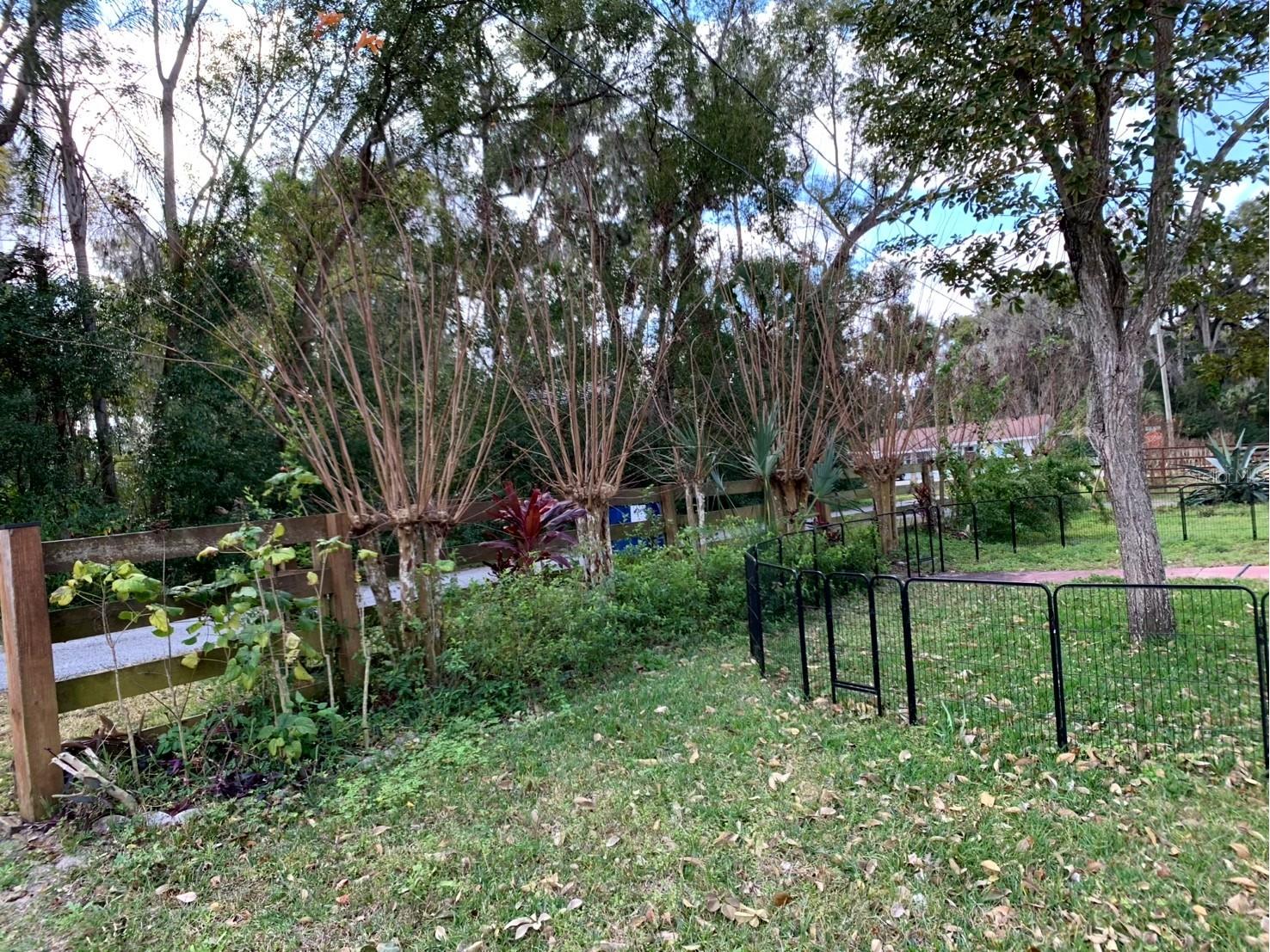 32935 Jesse Jones Avenue San Antonio FL 33576 - LAKE JOVITA TB8475164 image15