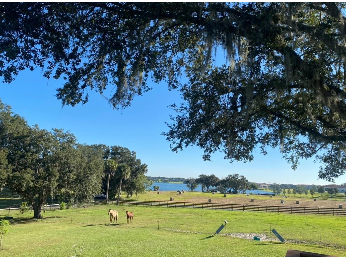 32935 Jesse Jones Avenue San Antonio FL 33576 - LAKE JOVITA TB8475164 image18