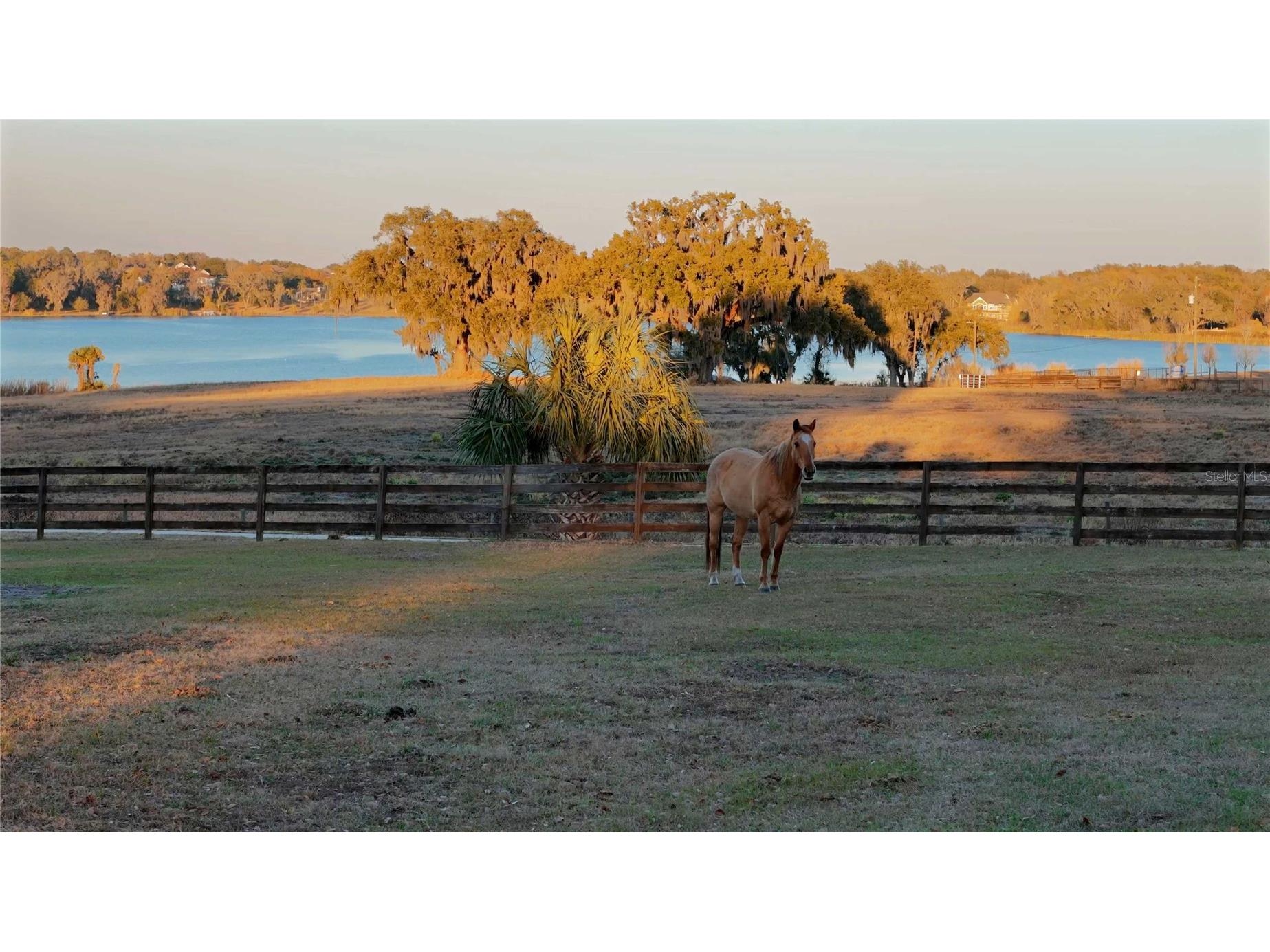 32935 Jesse Jones Avenue San Antonio FL 33576 - LAKE JOVITA TB8475164 image3