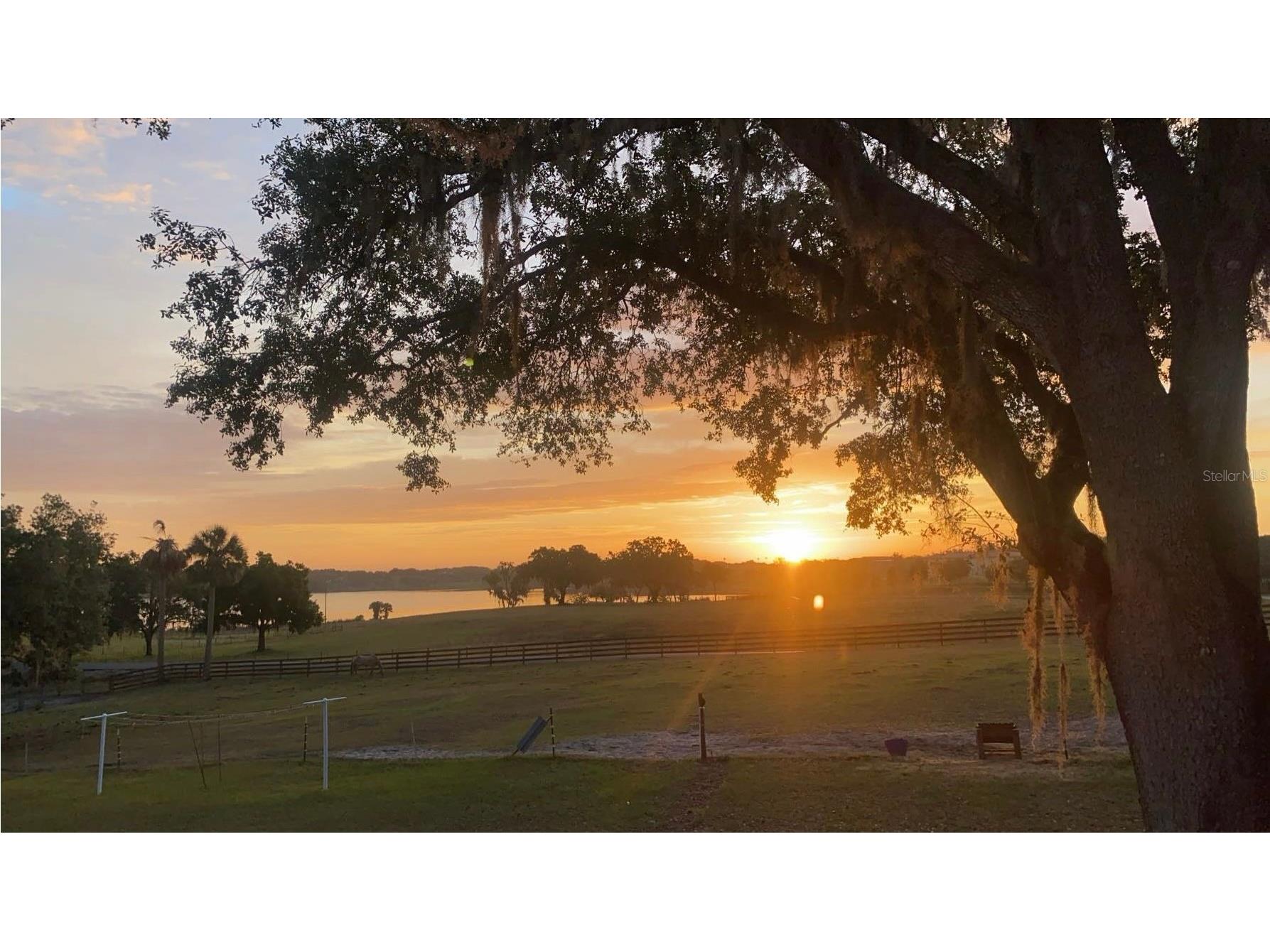 32935 Jesse Jones Avenue San Antonio FL 33576 - LAKE JOVITA TB8475164 image5