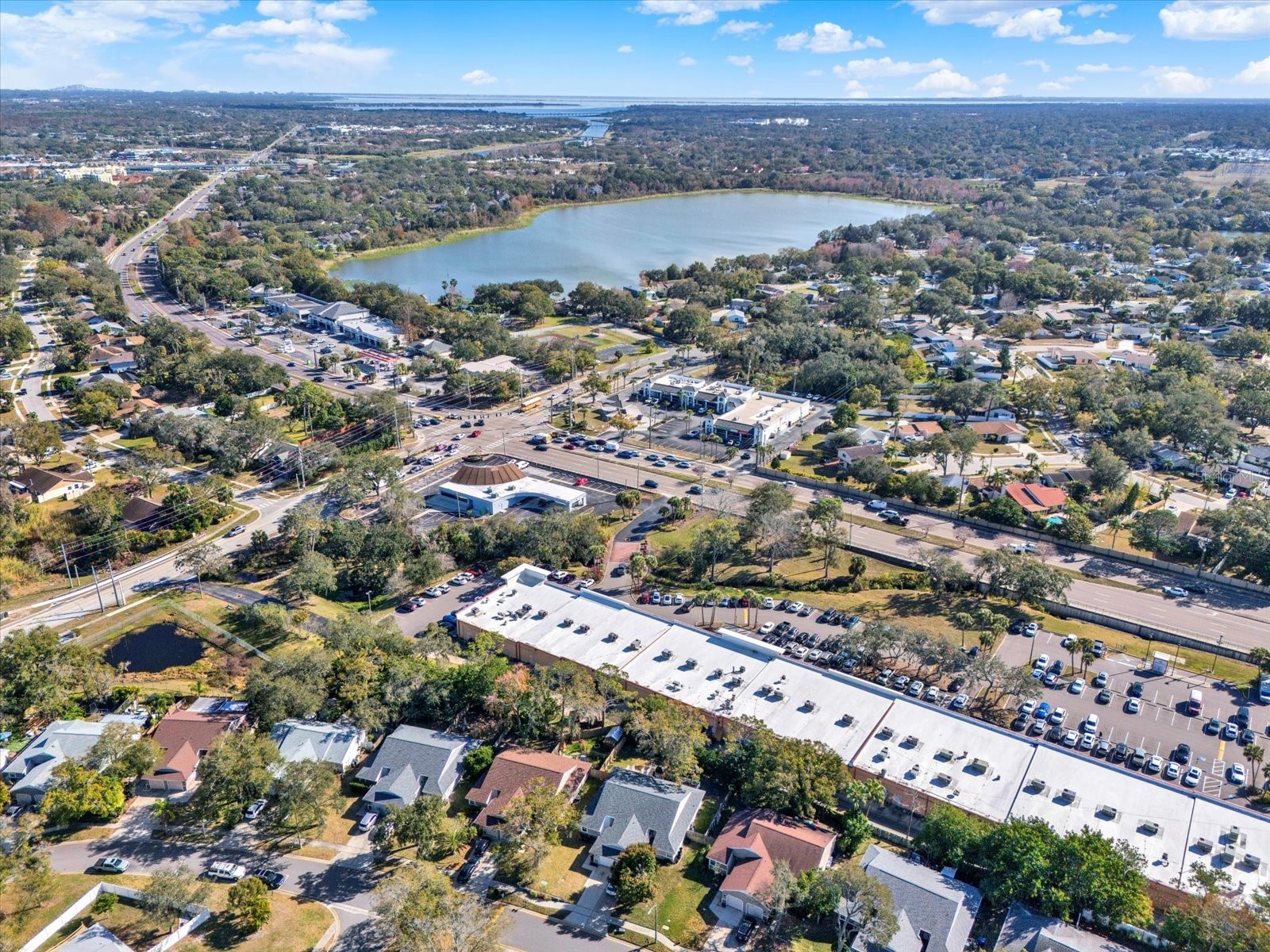 3294 Cloverplace Drive #15 Palm Harbor FL 34684 TB8471017 image22