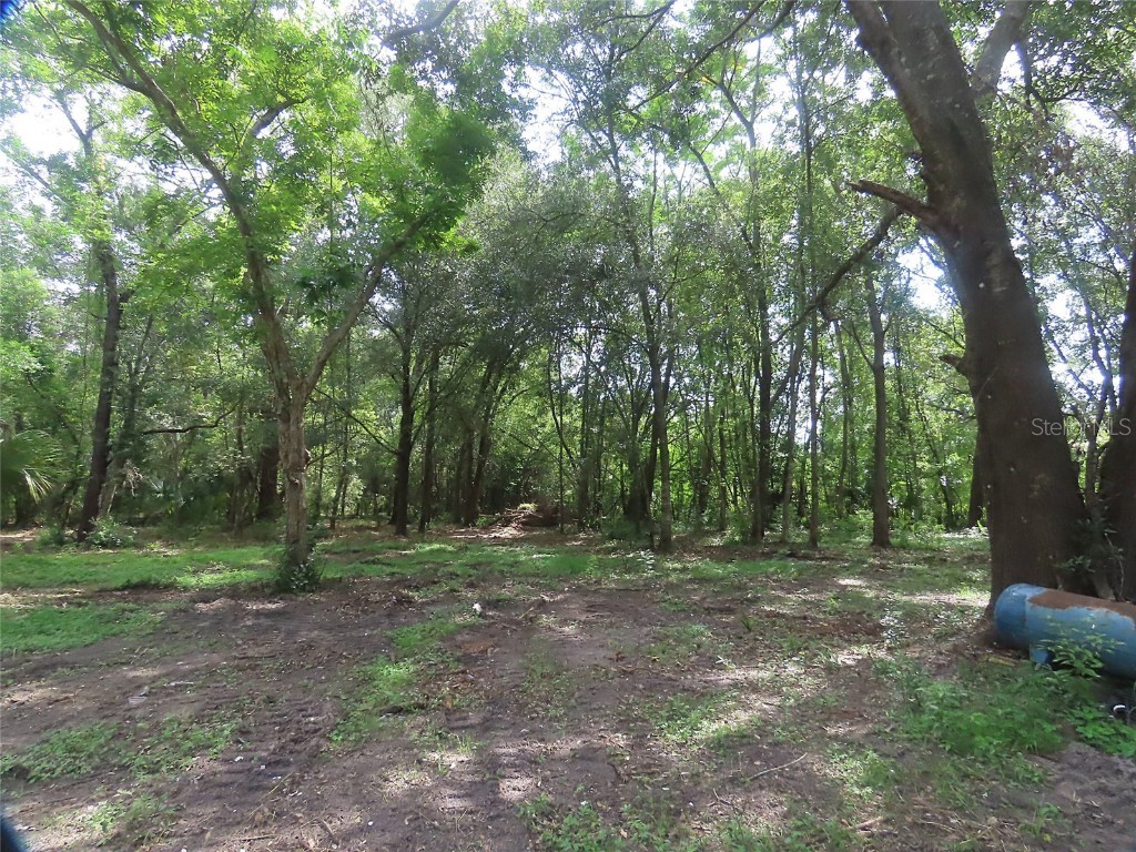 32944 County Road 437 Sorrento FL 32776 O6325559 image4