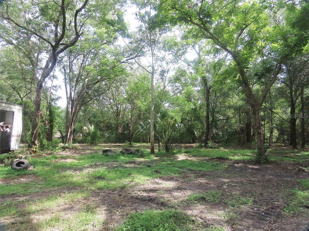 32944 County Road 437 Sorrento FL 32776 O6325559 image5