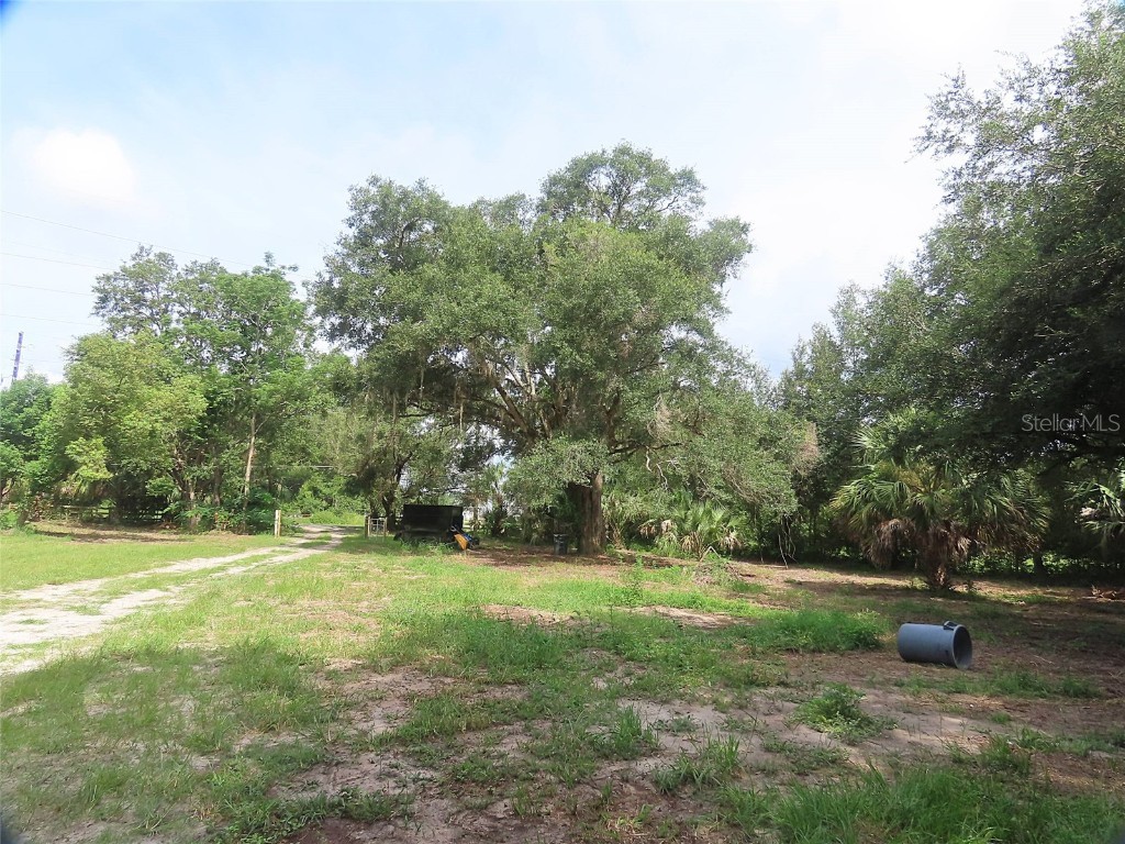 32944 County Road 437 Sorrento FL 32776 O6325559 image6