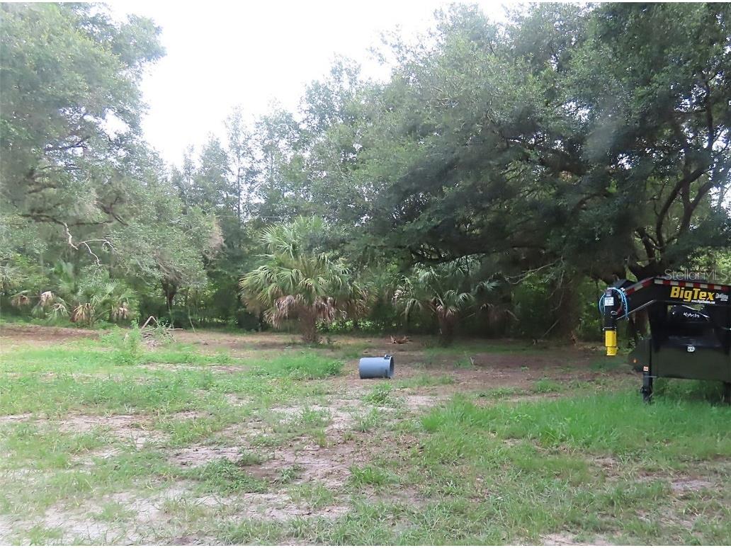 32944 County Road 437 Sorrento FL 32776 O6325559 image7