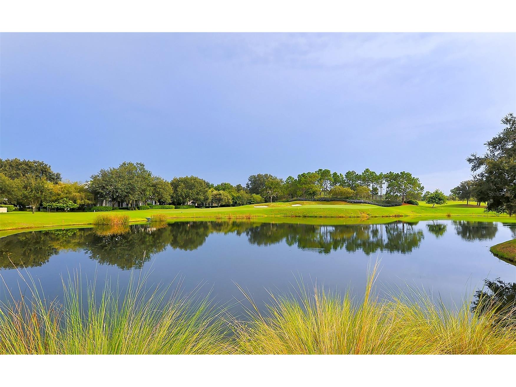 3295 Alex Findlay Place Sarasota FL 34240 A4690562 image65