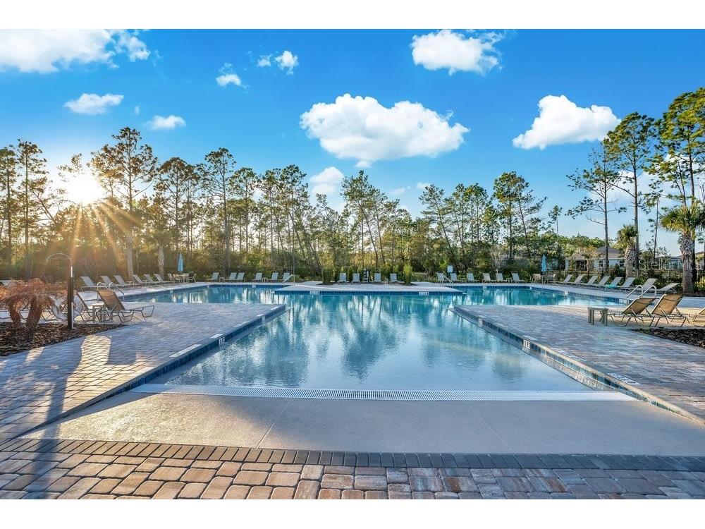 3295 Arch Avenue Ormond Beach FL 32174 V4947699 image69