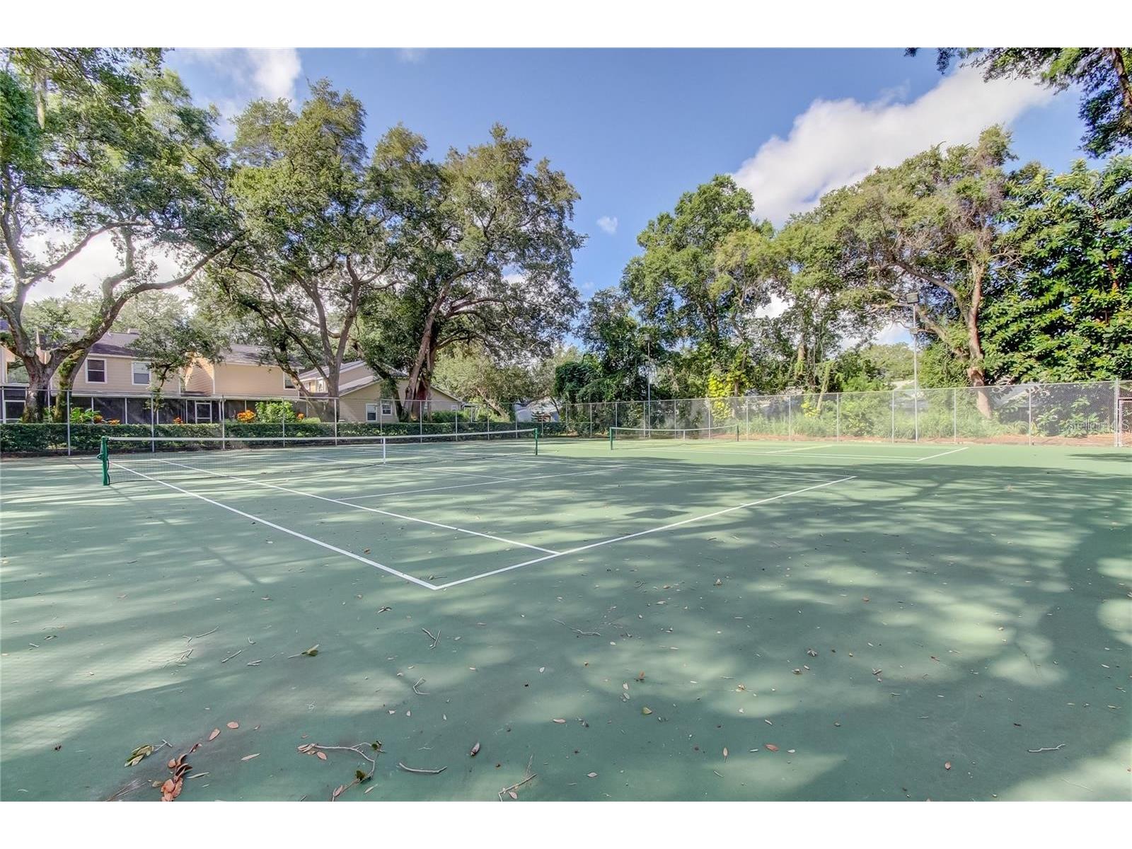 3295 Fox Chase #105 Palm Harbor FL 34683 TB8495128 image19