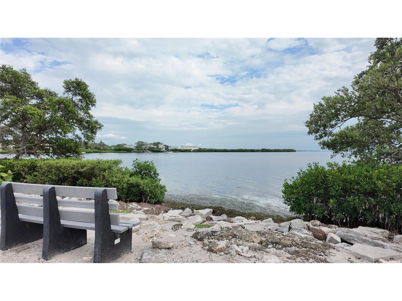 3295 Fox Chase #105 Palm Harbor FL 34683 TB8495128 image25