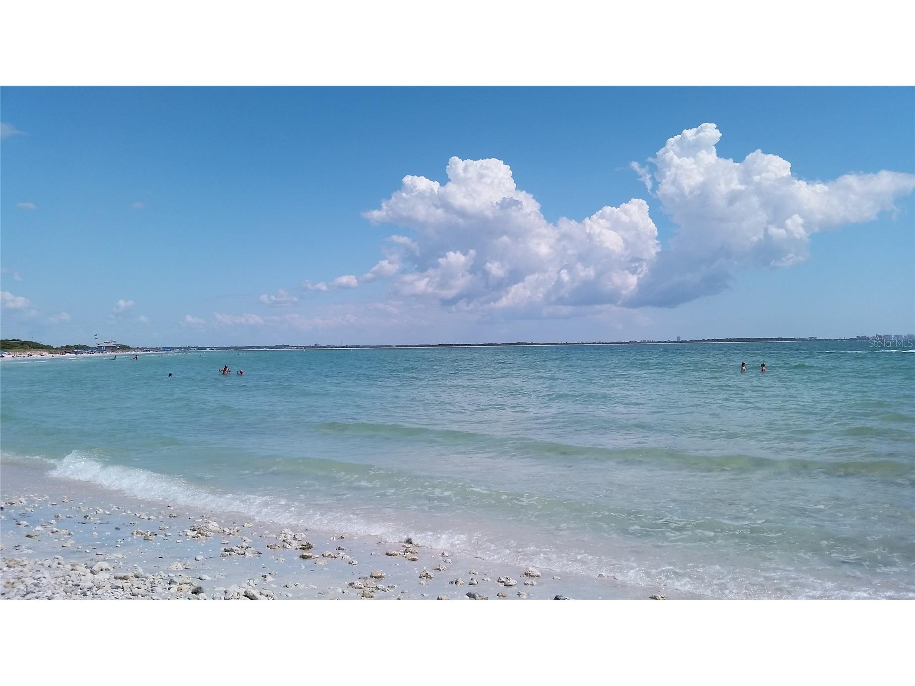 3295 Fox Chase #105 Palm Harbor FL 34683 TB8495128 image26