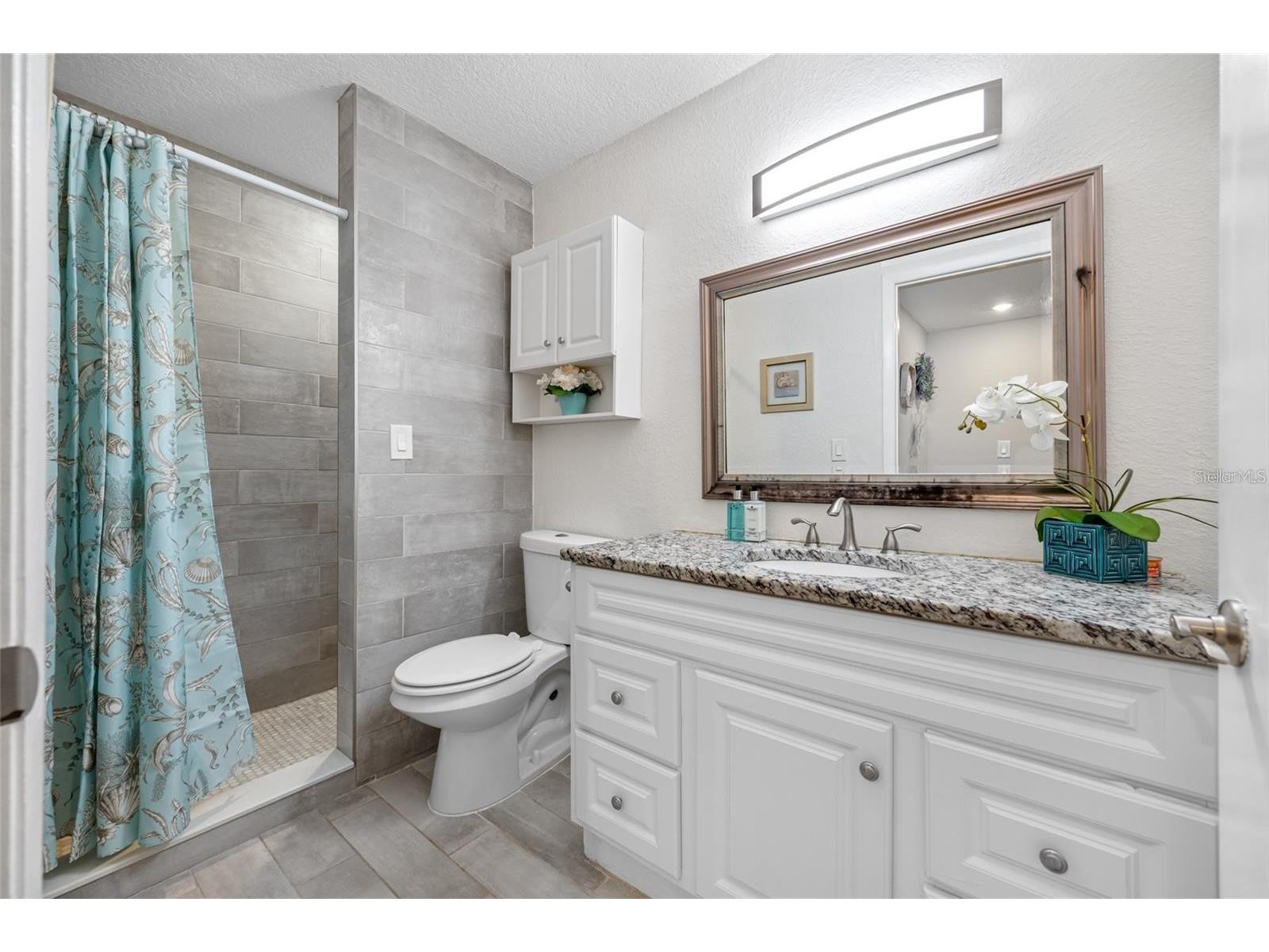 3295 Fox Chase #105 Palm Harbor FL 34683 TB8495128 image4