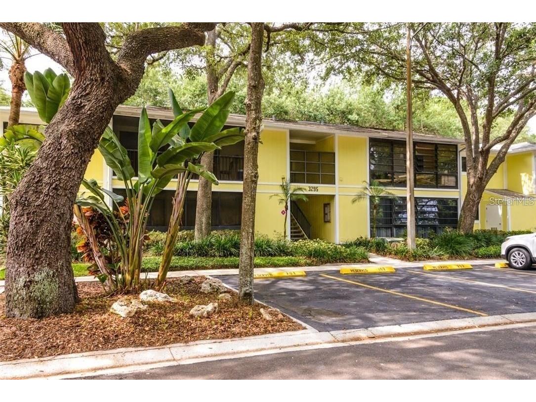 3295 Fox Chase Circle N #104 Palm Harbor FL 34683 U8210769 image1