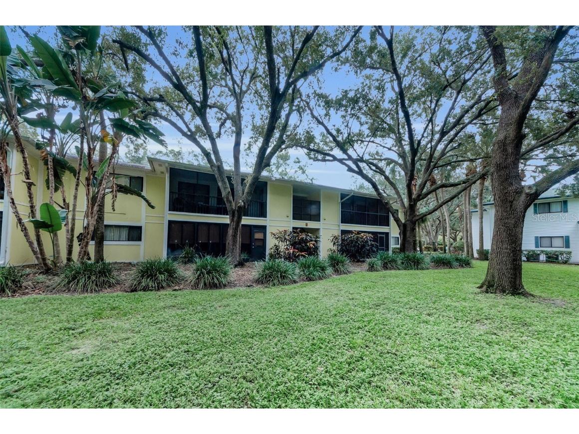 3295 Fox Chase Circle N #104 Palm Harbor FL 34683 TB8426115 image31