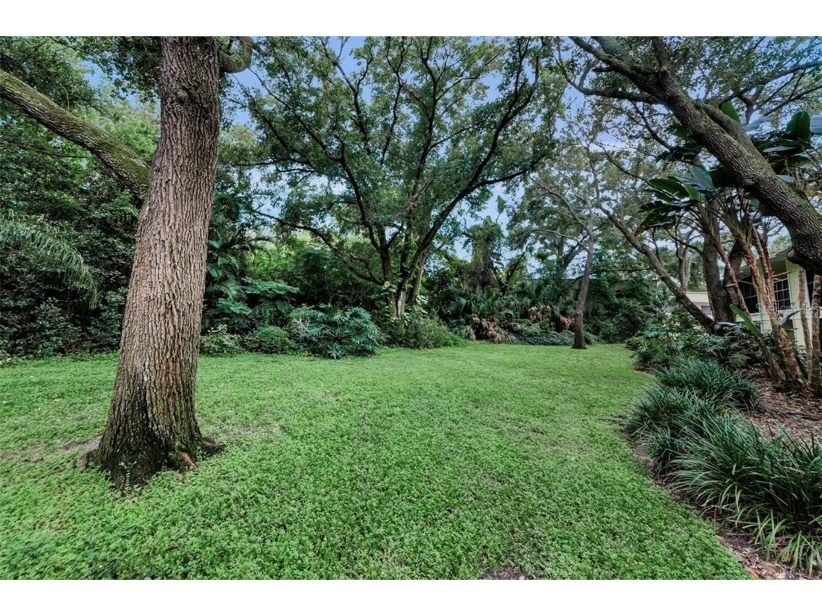 3295 Fox Chase Circle N #104 Palm Harbor FL 34683 TB8426115 image32