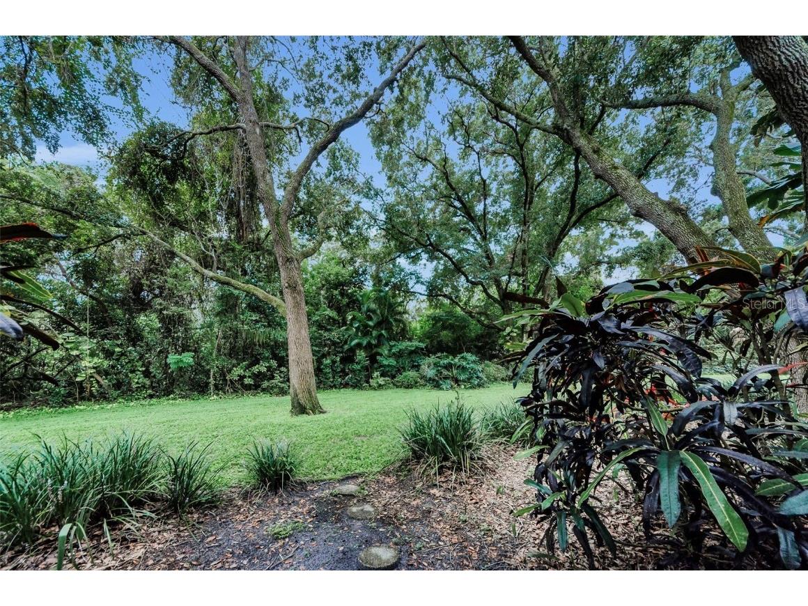 3295 Fox Chase Circle N #104 Palm Harbor FL 34683 TB8426115 image33