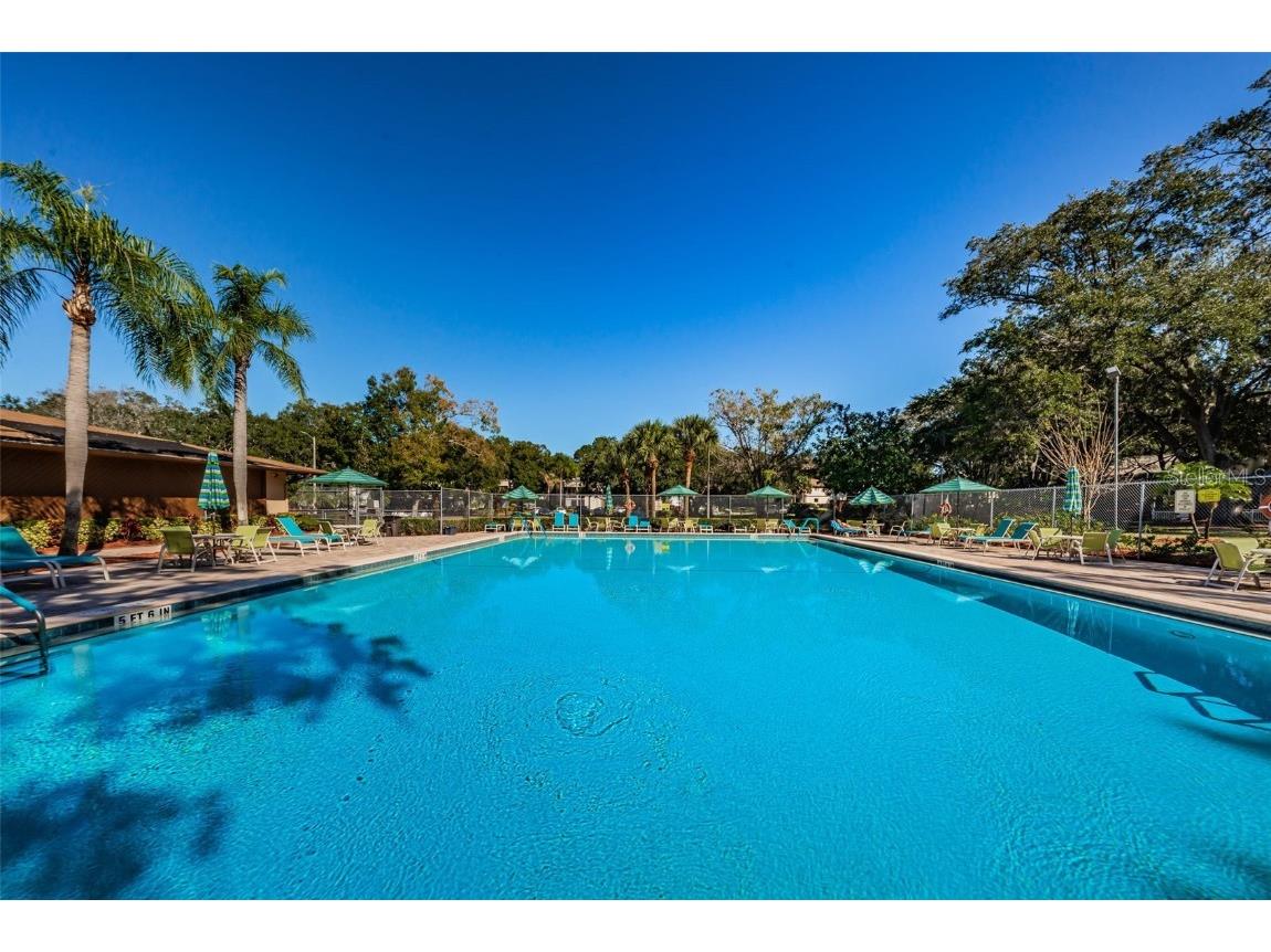 3295 Fox Chase Circle N #104 Palm Harbor FL 34683 TB8426115 image38