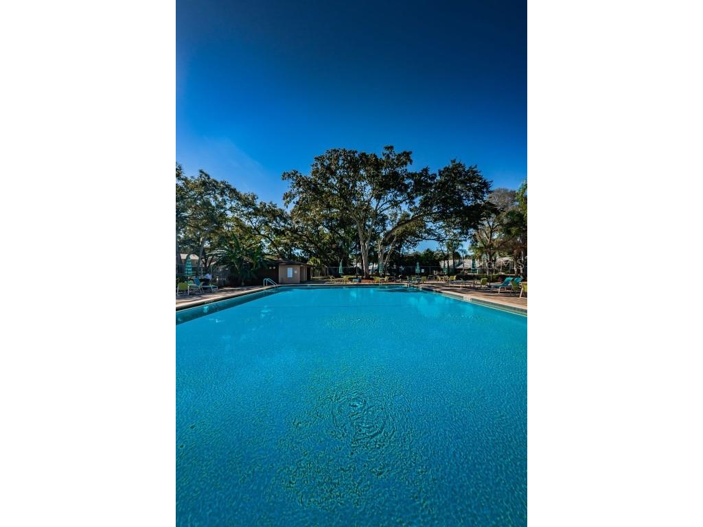 3295 Fox Chase Circle N #104 Palm Harbor FL 34683 TB8426115 image40