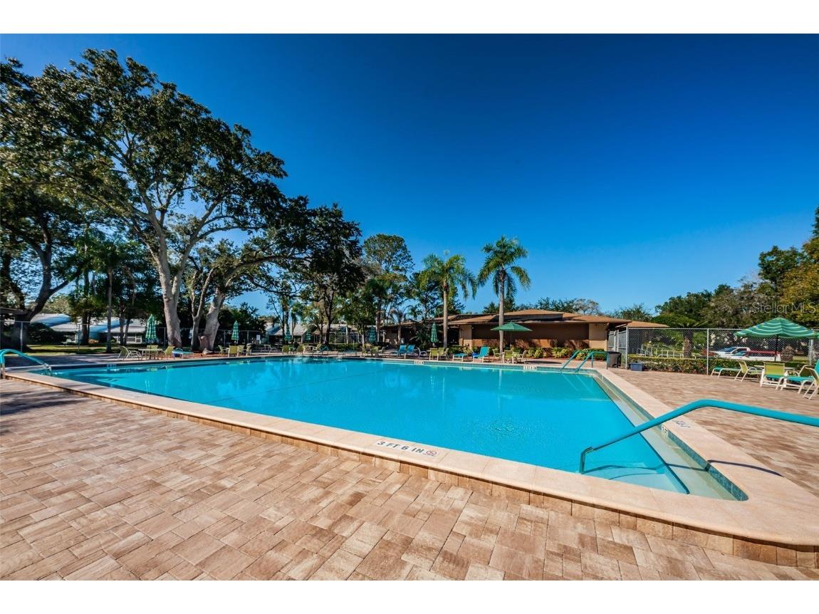 3295 Fox Chase Circle N #104 Palm Harbor FL 34683 TB8426115 image41