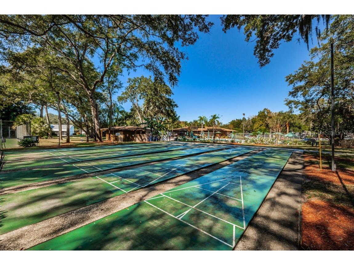 3295 Fox Chase Circle N #104 Palm Harbor FL 34683 TB8426115 image43