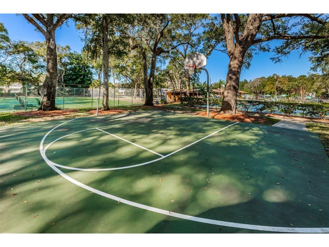 3295 Fox Chase Circle N #104 Palm Harbor FL 34683 TB8426115 image45