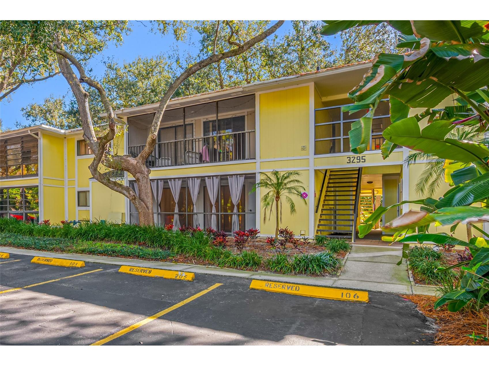 3295 Fox Chase Circle N #105 Palm Harbor FL 34683 TB8462745 image1