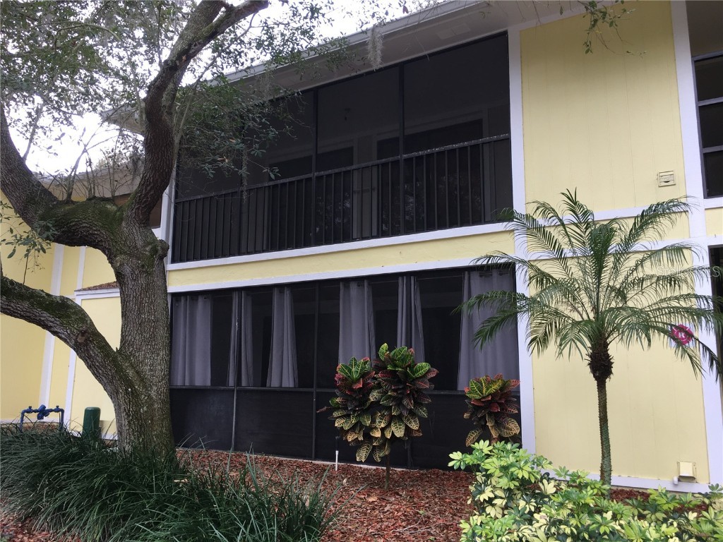 3295 Fox Chase Circle N #205 Palm Harbor FL 34683 U8200298 image1