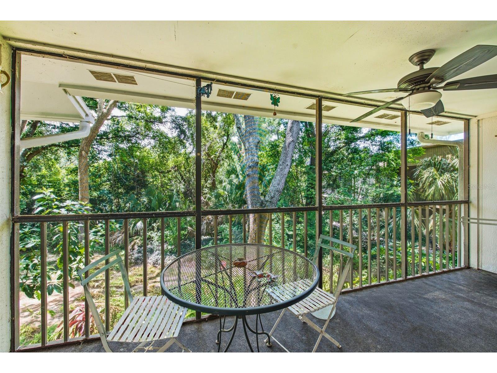 3295 Fox Chase Circle N #207 Palm Harbor FL 34683 TB8527844 image13