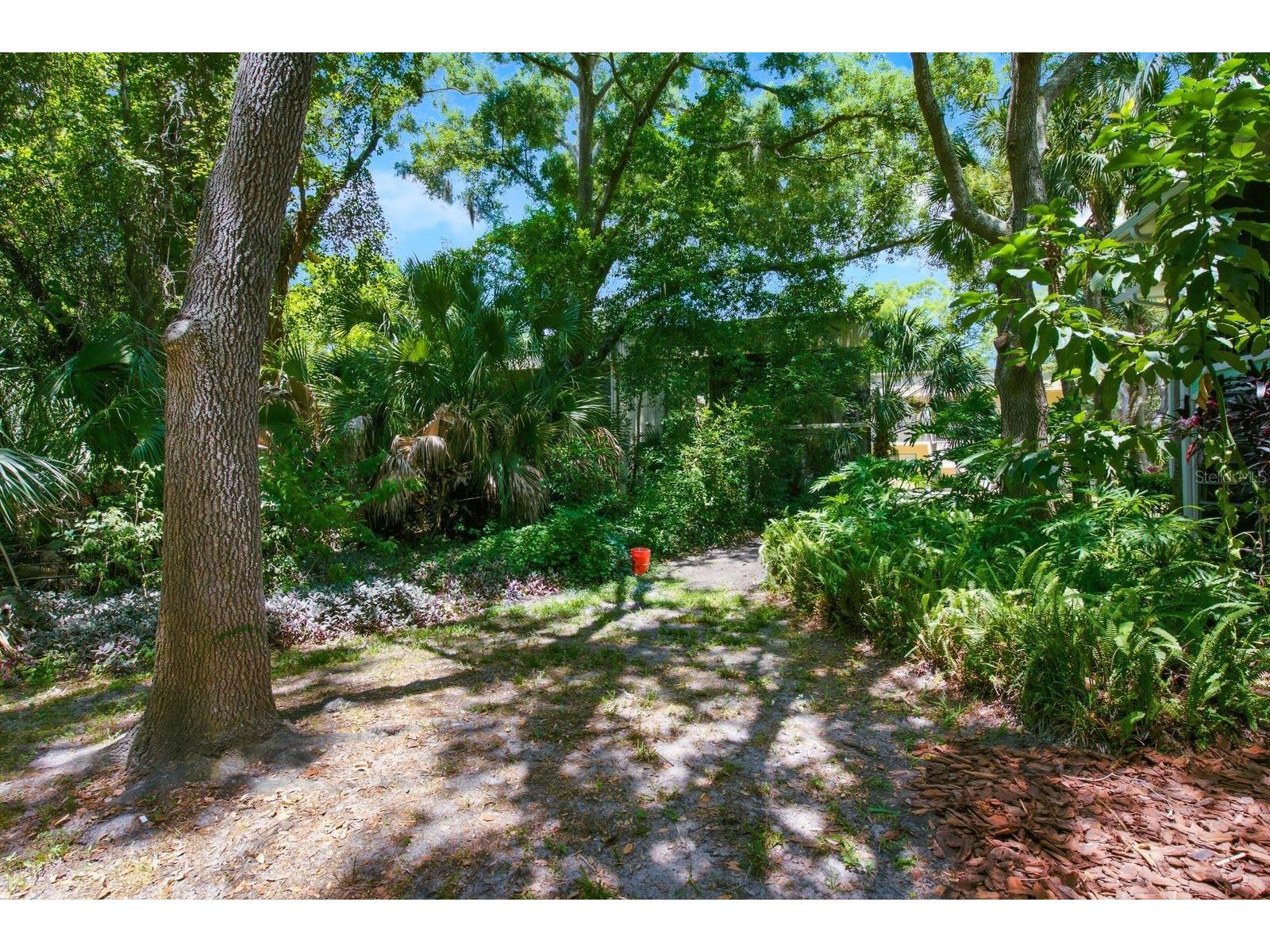 3295 Fox Chase Circle N #207 Palm Harbor FL 34683 TB8527844 image14