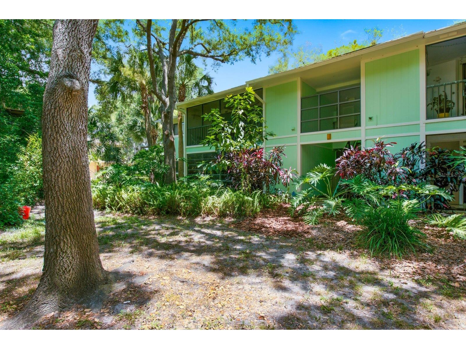 3295 Fox Chase Circle N #207 Palm Harbor FL 34683 TB8527844 image15