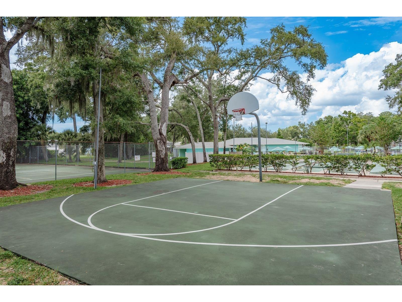 3295 Fox Chase Circle N #207 Palm Harbor FL 34683 TB8527844 image16