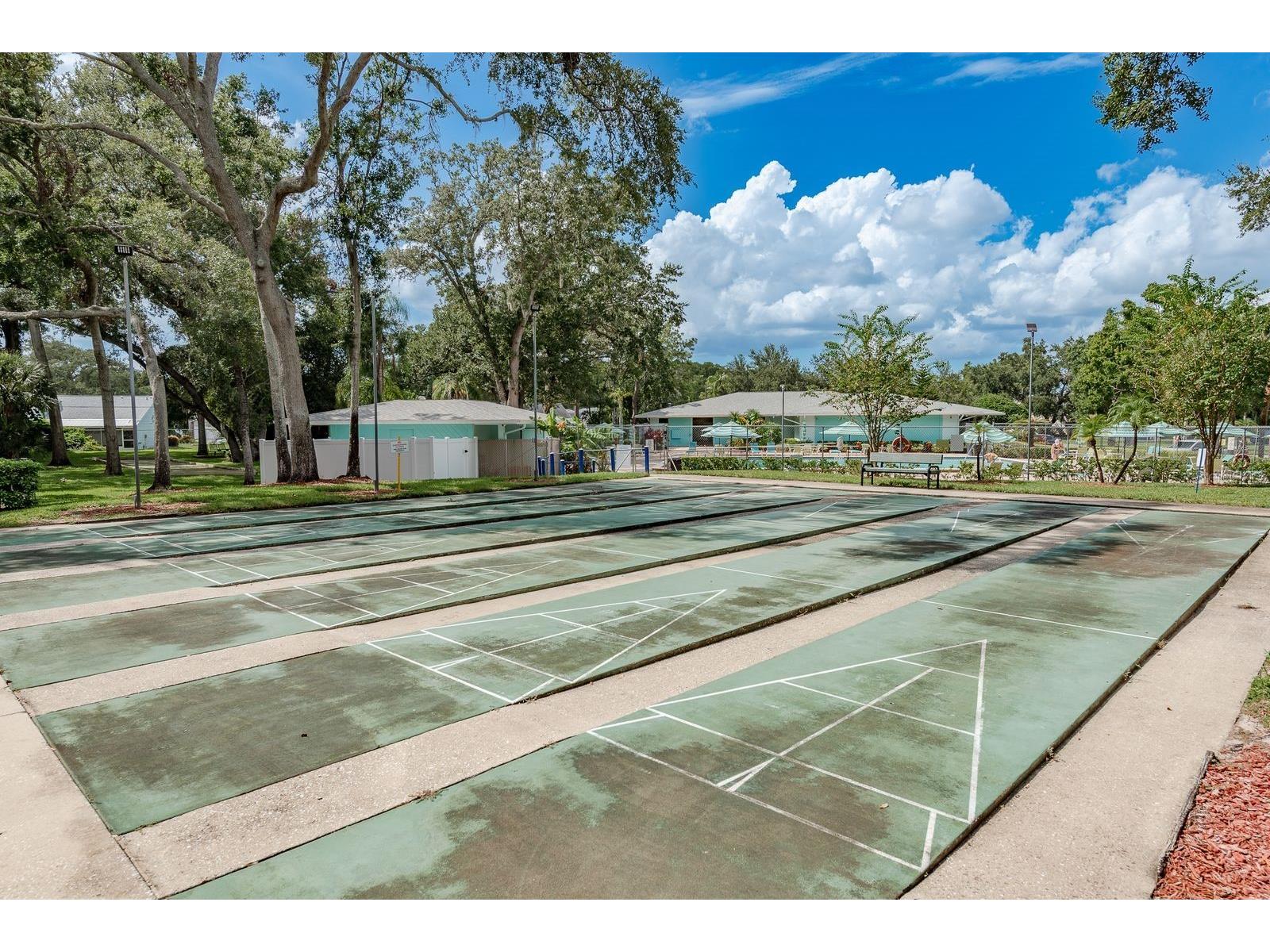 3295 Fox Chase Circle N #207 Palm Harbor FL 34683 TB8527844 image18
