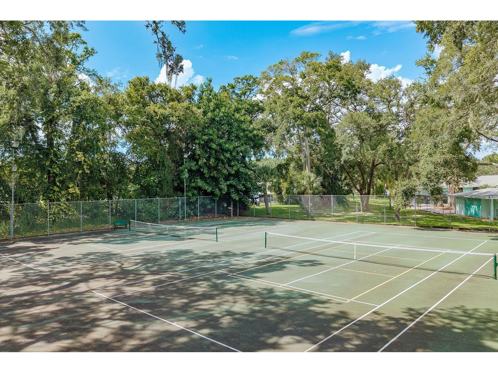 3295 Fox Chase Circle N #207 Palm Harbor FL 34683 TB8527844 image19