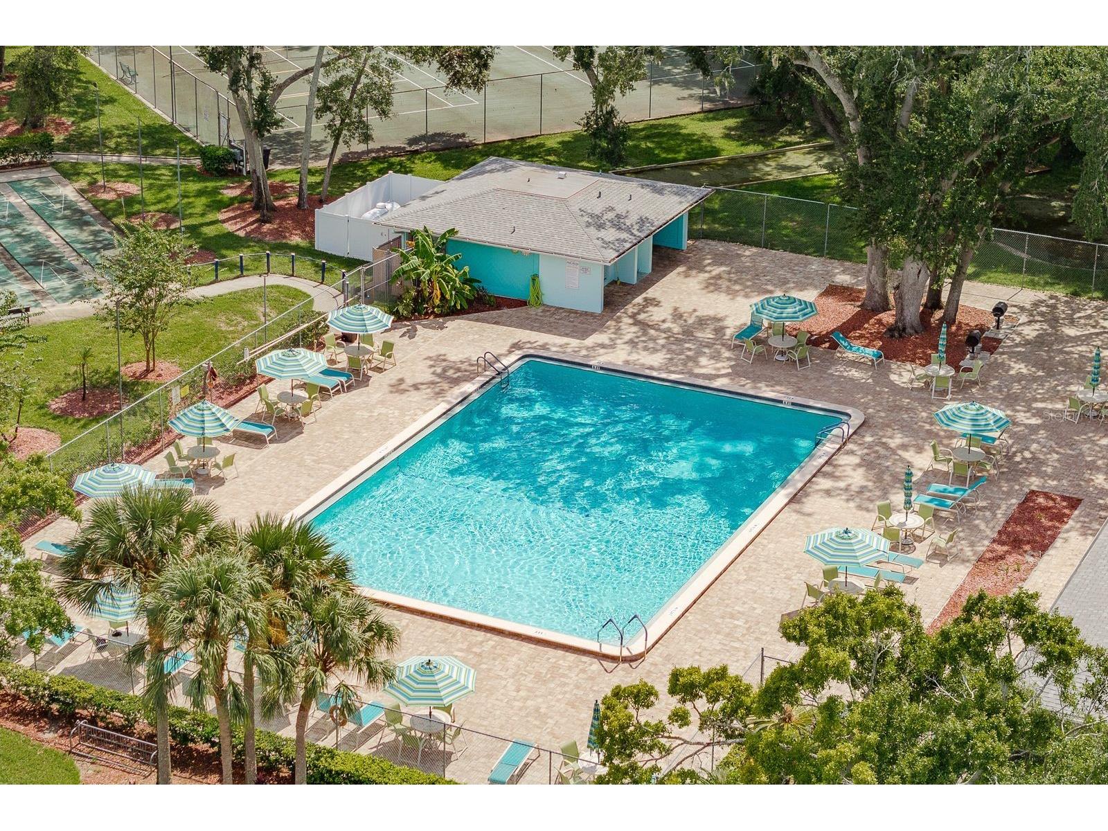 3295 Fox Chase Circle N #207 Palm Harbor FL 34683 TB8527844 image21