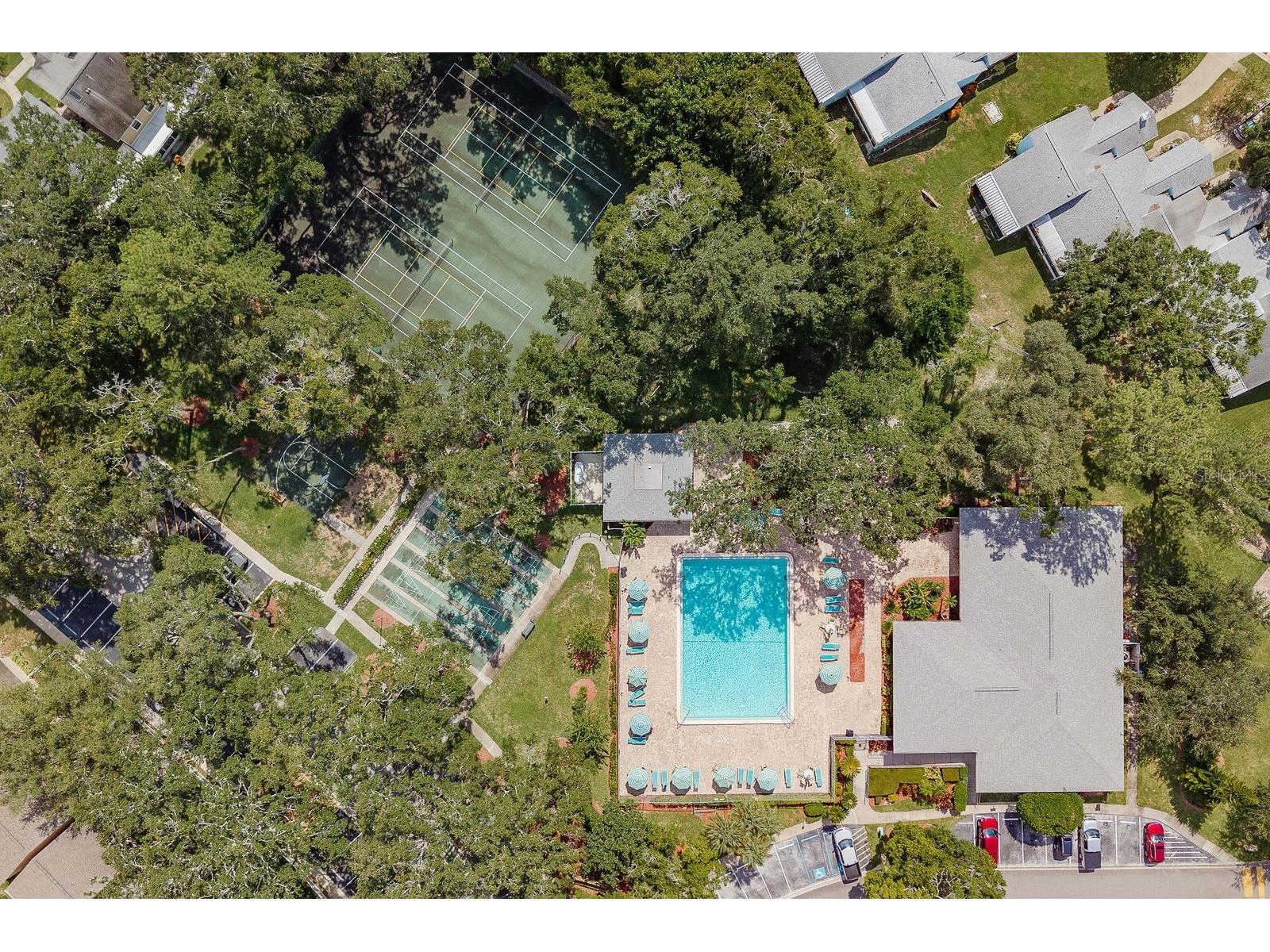 3295 Fox Chase Circle N #207 Palm Harbor FL 34683 TB8527844 image22