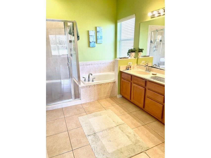 3295 Safe Harbor Lane Lake Mary FL 32746 O6381204 image13