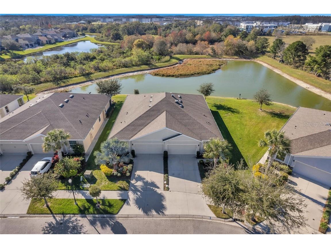 32953 Windelstraw Drive Wesley Chapel FL 33545 T3502195 image1