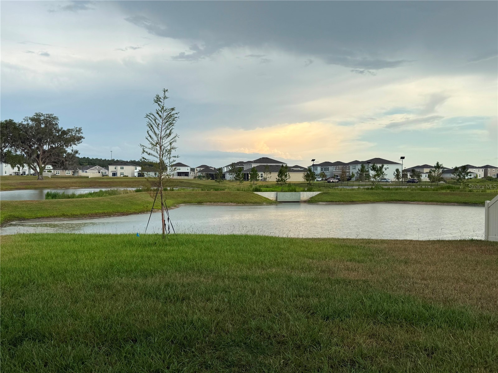32955 Osprey Peak Way San Antonio FL 33576 O6420499 image12