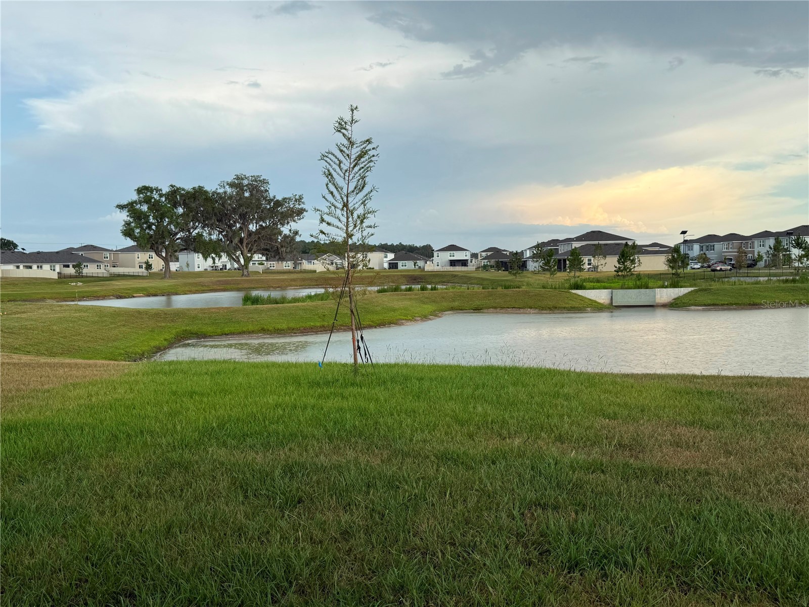 32955 Osprey Peak Way San Antonio FL 33576 O6420499 image13