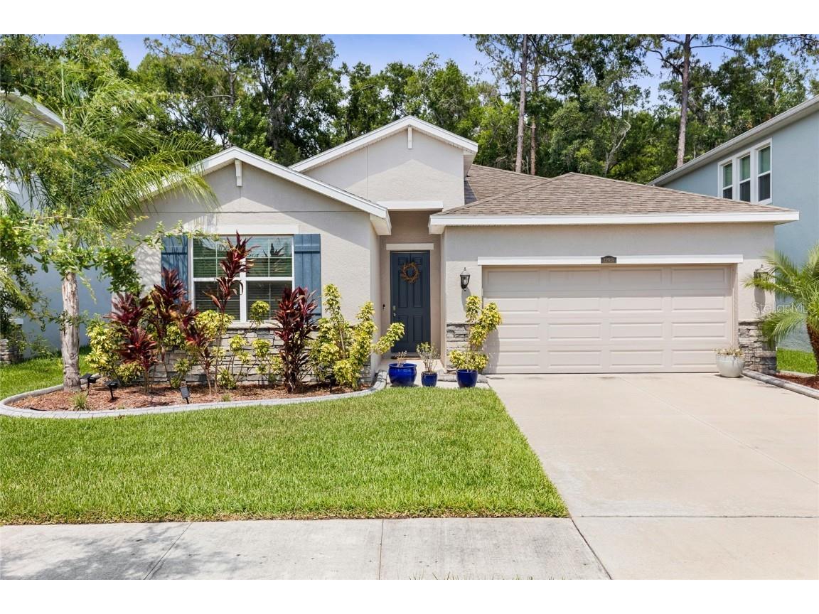 32959 Sand Creek Drive Wesley Chapel FL 33543 T3532852 image1