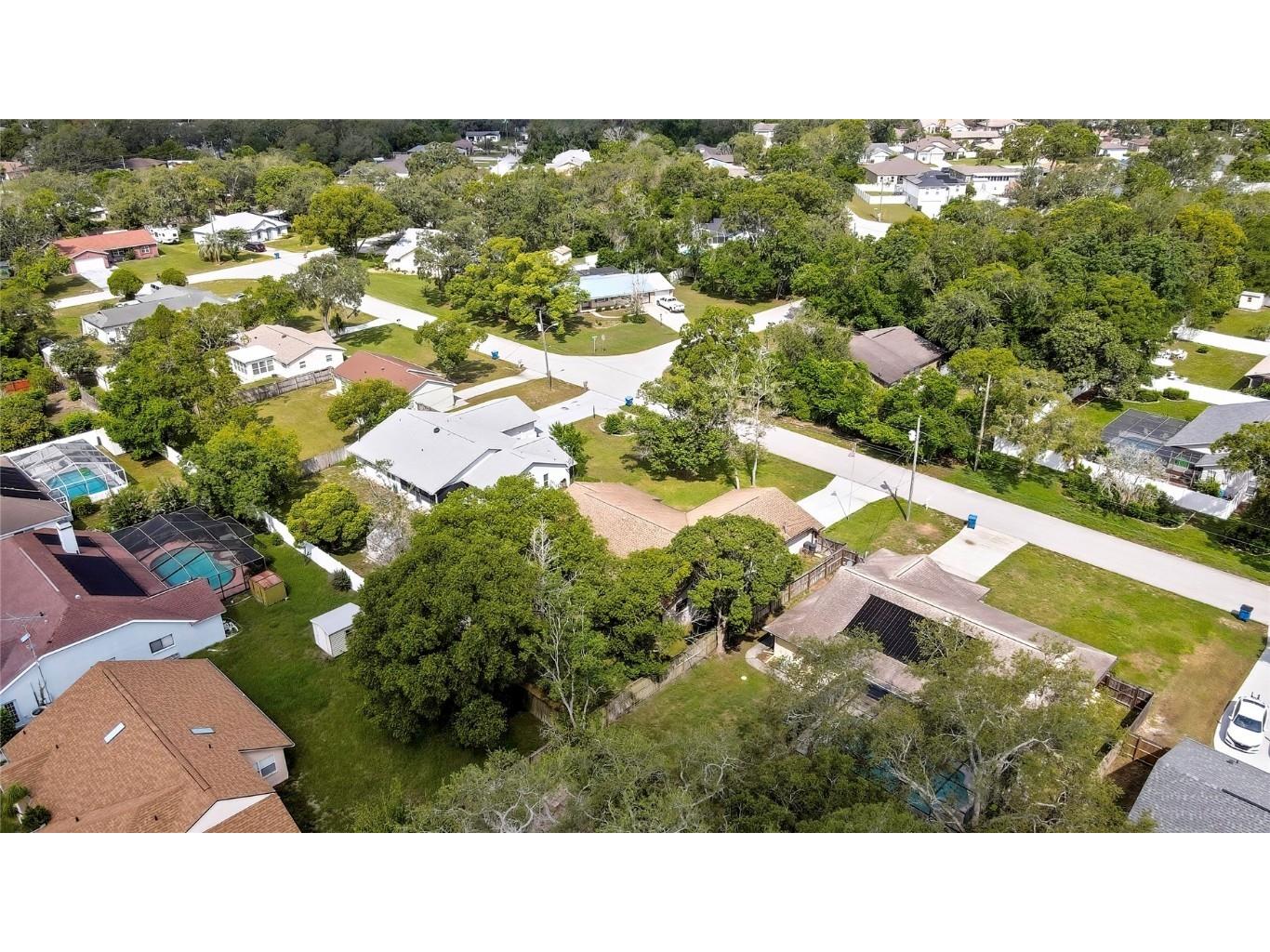 3296 Dolin Avenue Spring Hill FL 34606 W7877281 image50