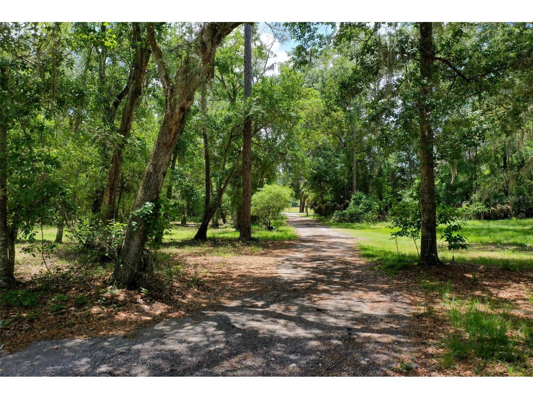 3296 N Old Dixie Highway Bunnell FL 32110 FC318844 image62