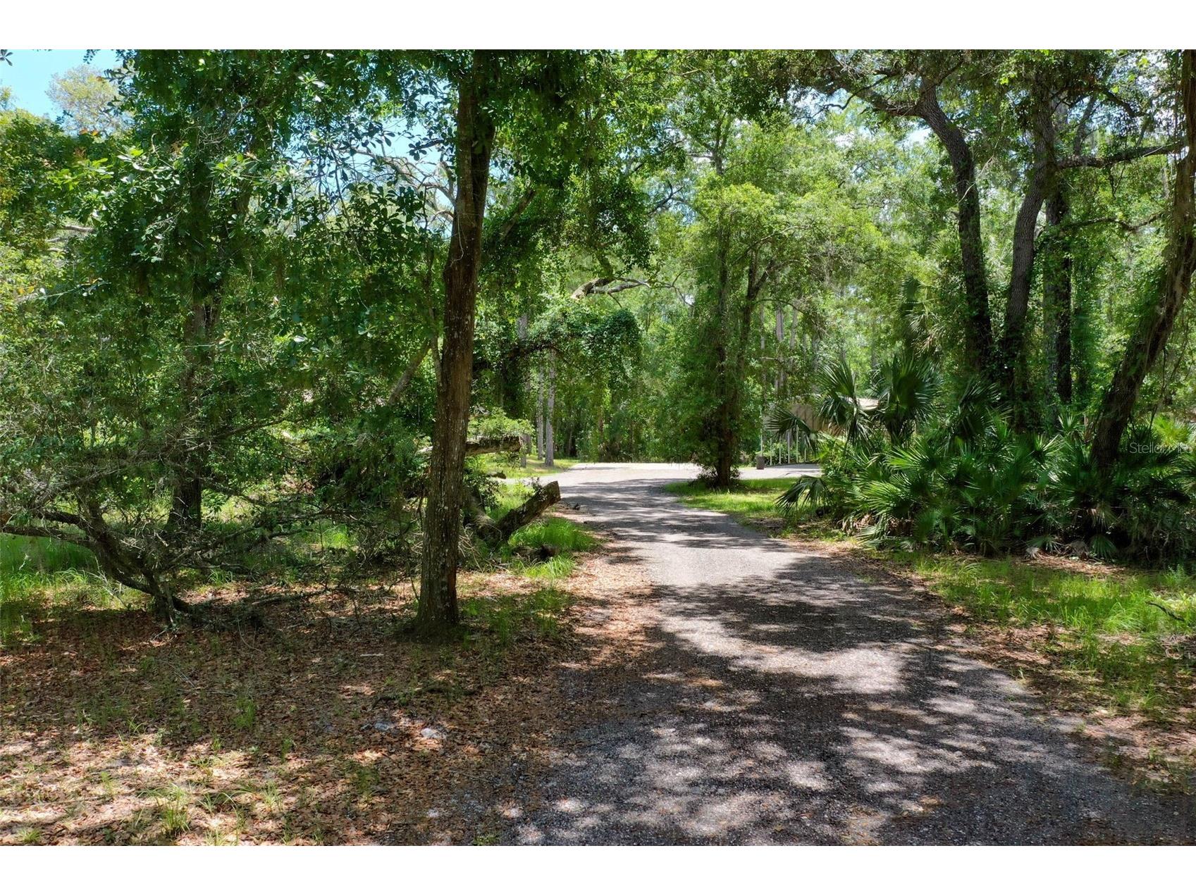 3296 N Old Dixie Highway Bunnell FL 32110 FC318844 image63