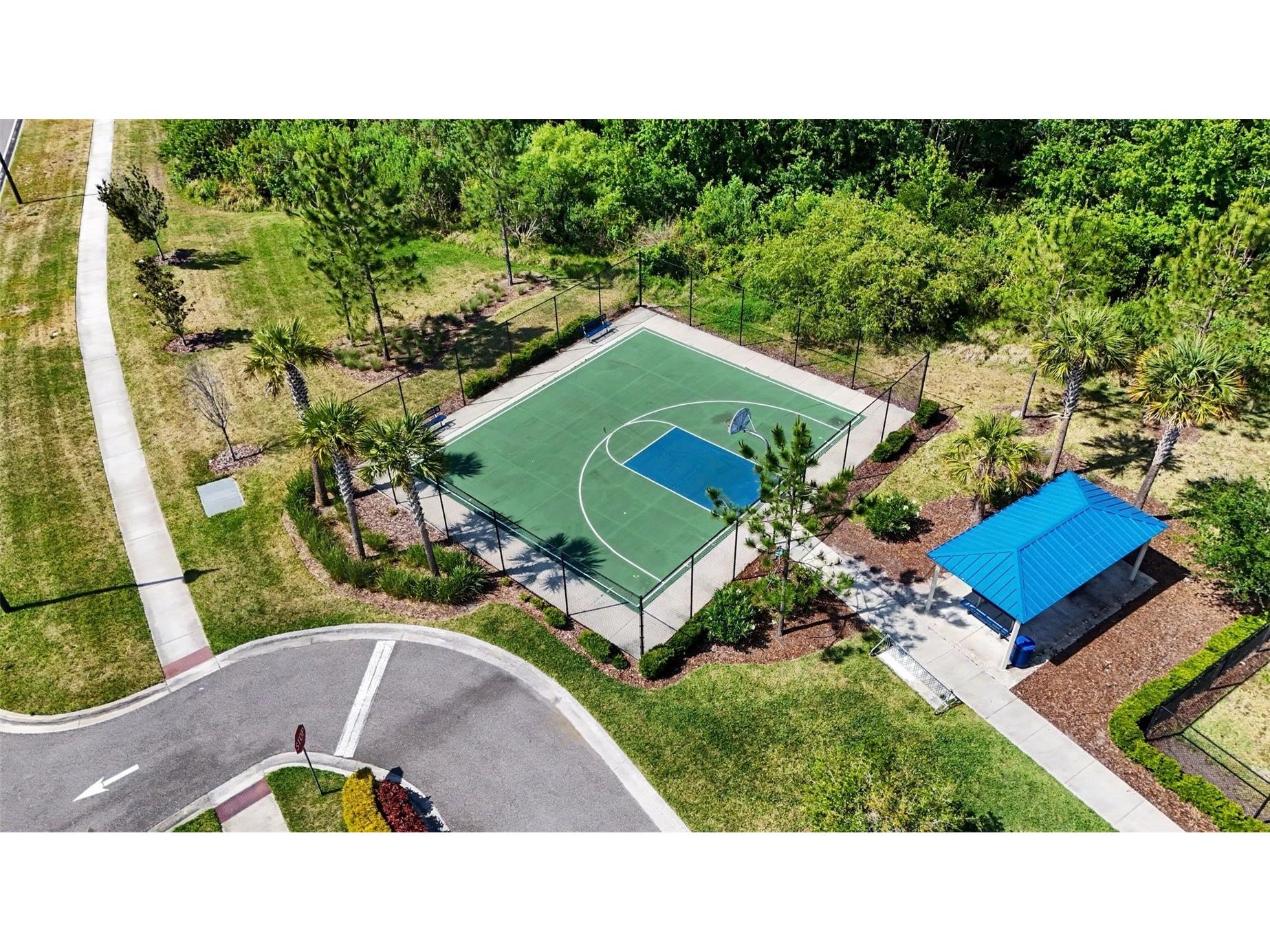 3296 Suncoast Plains Drive Odessa FL 33556 TB8504563 image34
