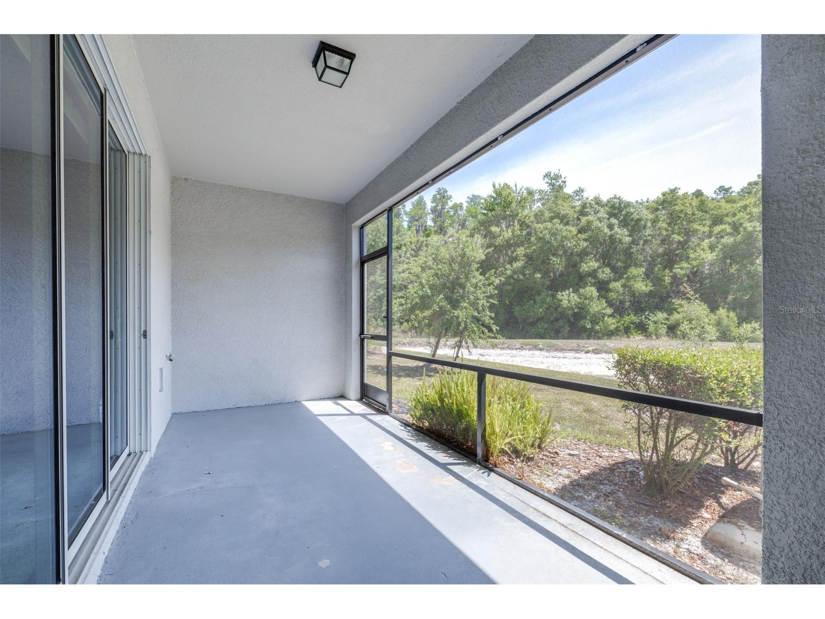 32960 Kaloko Road Wesley Chapel FL 33543 TB8503681 image23
